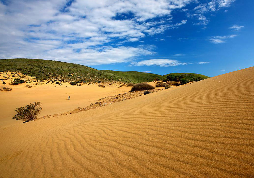 Read more about the article Sand Dunes of Lemnos: Discover the unique Sahara of Greece