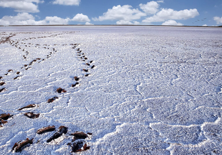 Alyki of Lemnos: The lake that in summer transforms into a dazzling white desert